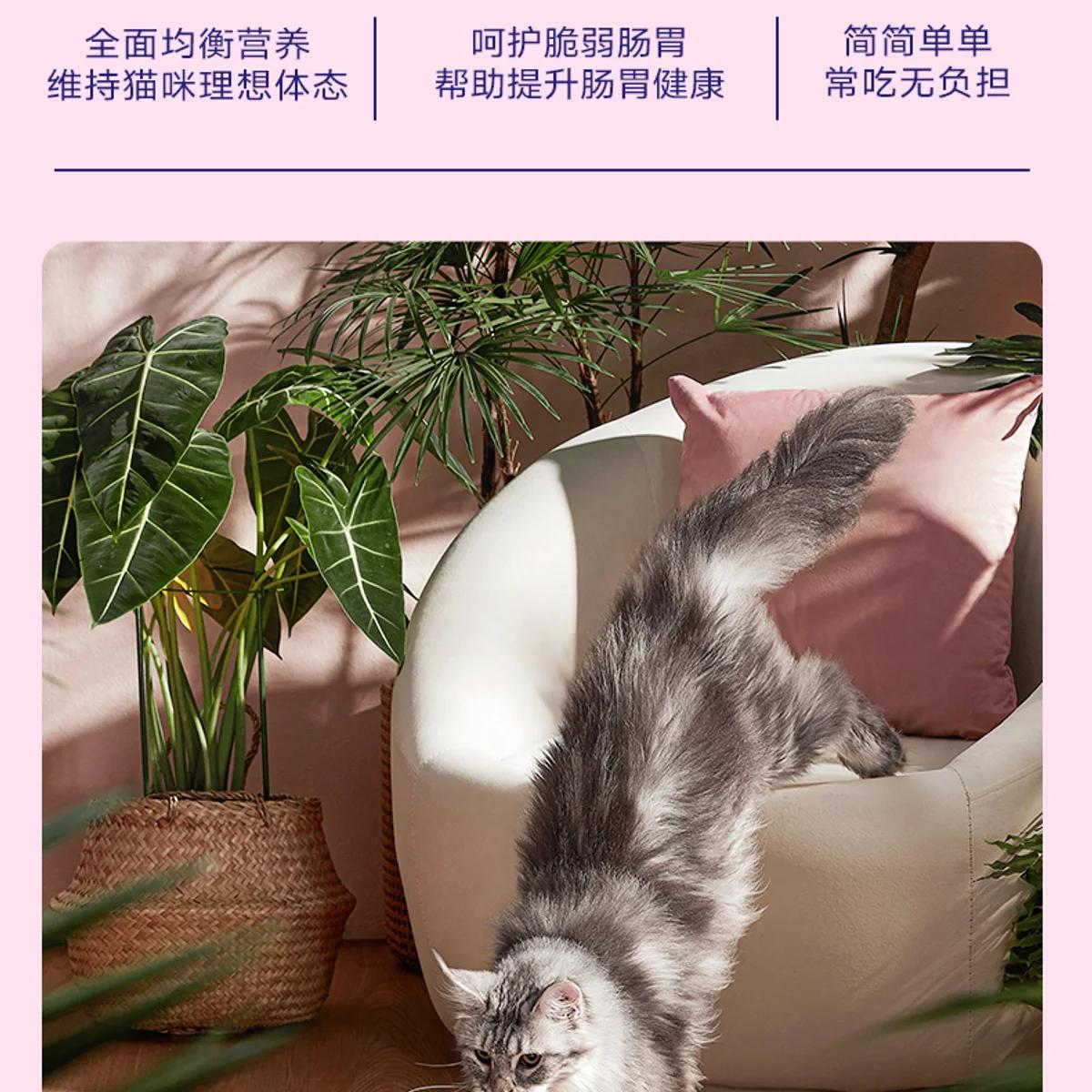 使用与养护提示