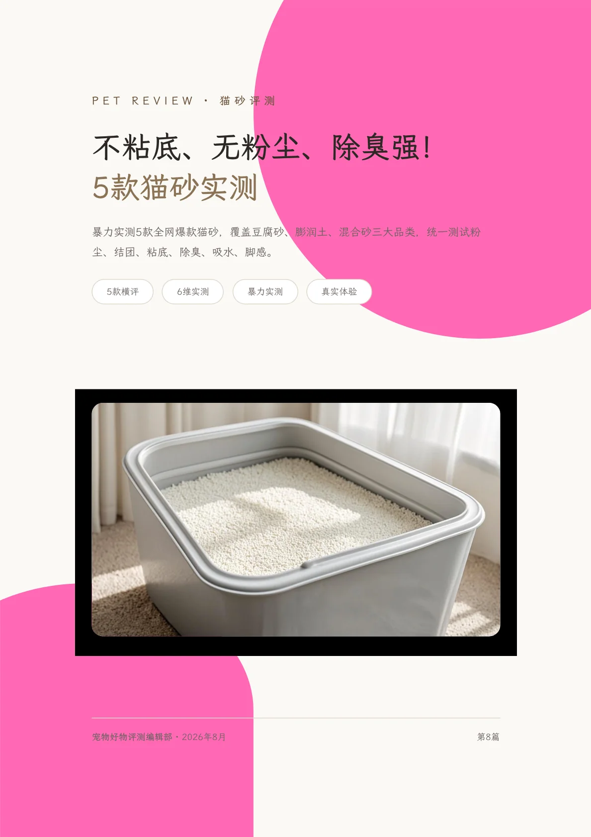 不粘底、无粉尘、除臭强:5 款猫砂实测