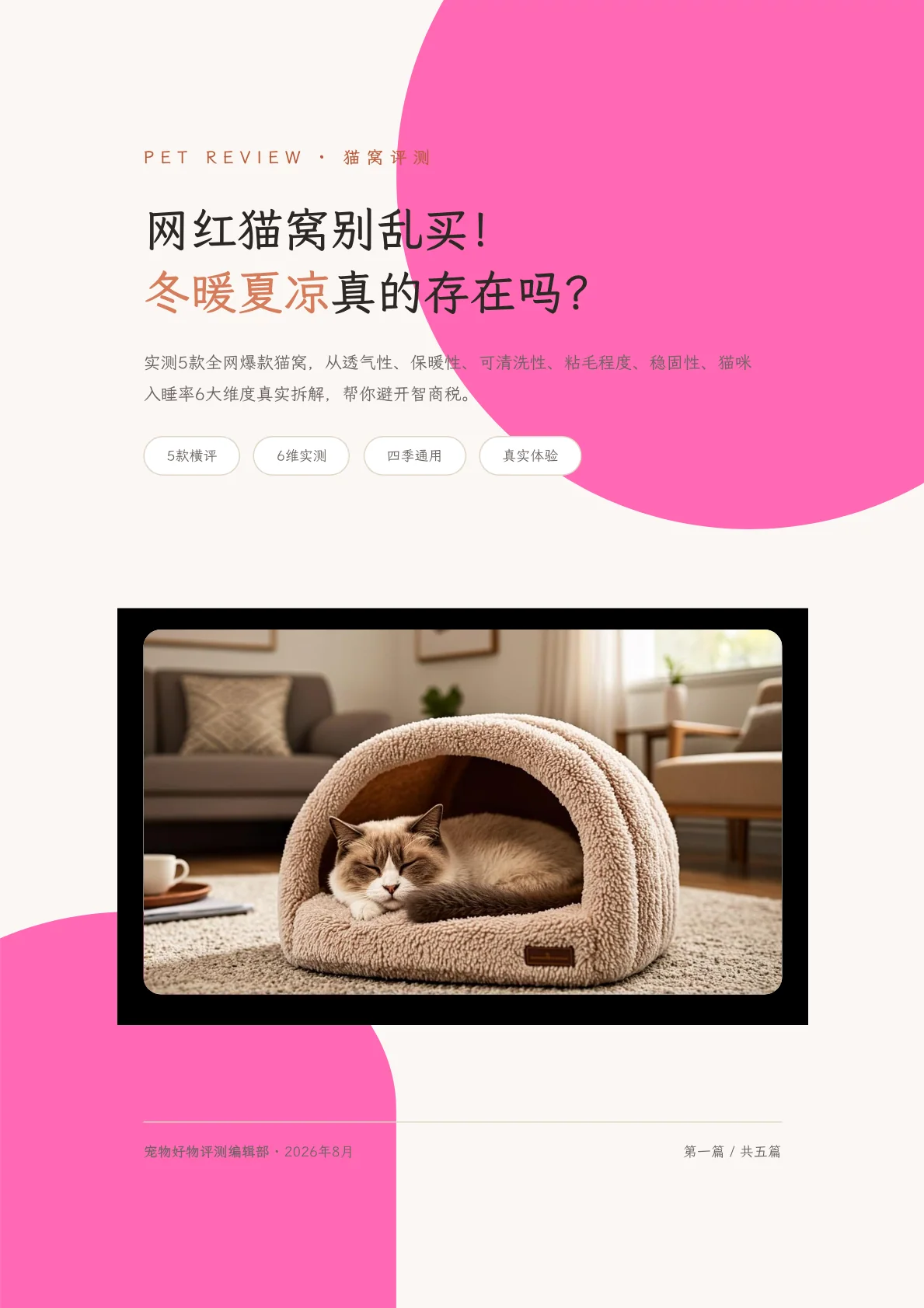 网红猫窝别乱买:冬暖夏凉真的存在吗?