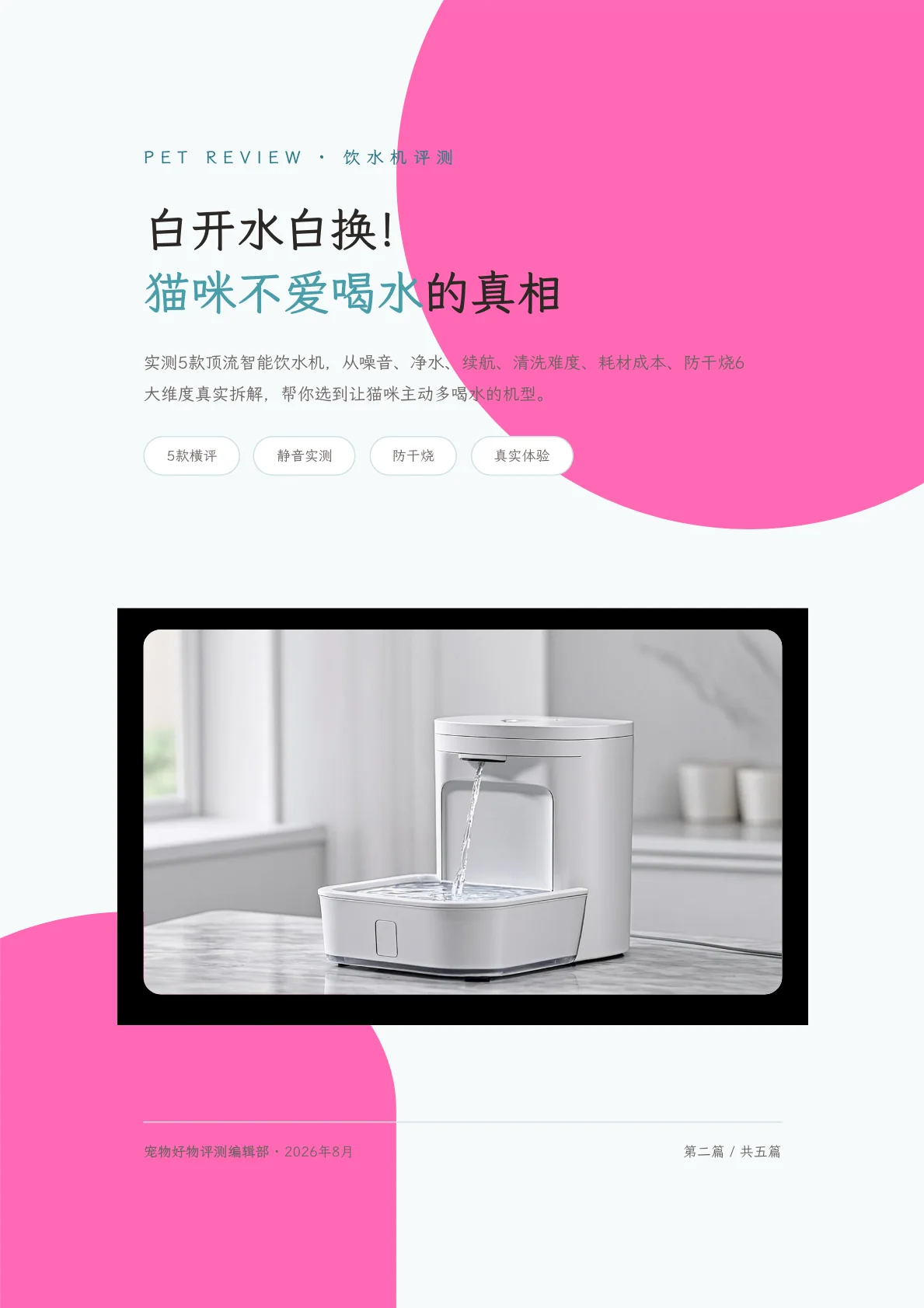 白开水白换：猫咪不爱喝水的真相