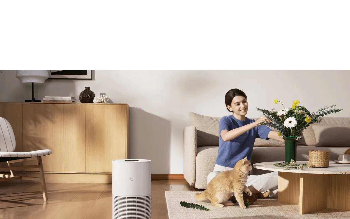 Pet-Friendly Homes: Air, Floor Care and Litter-Space Standards