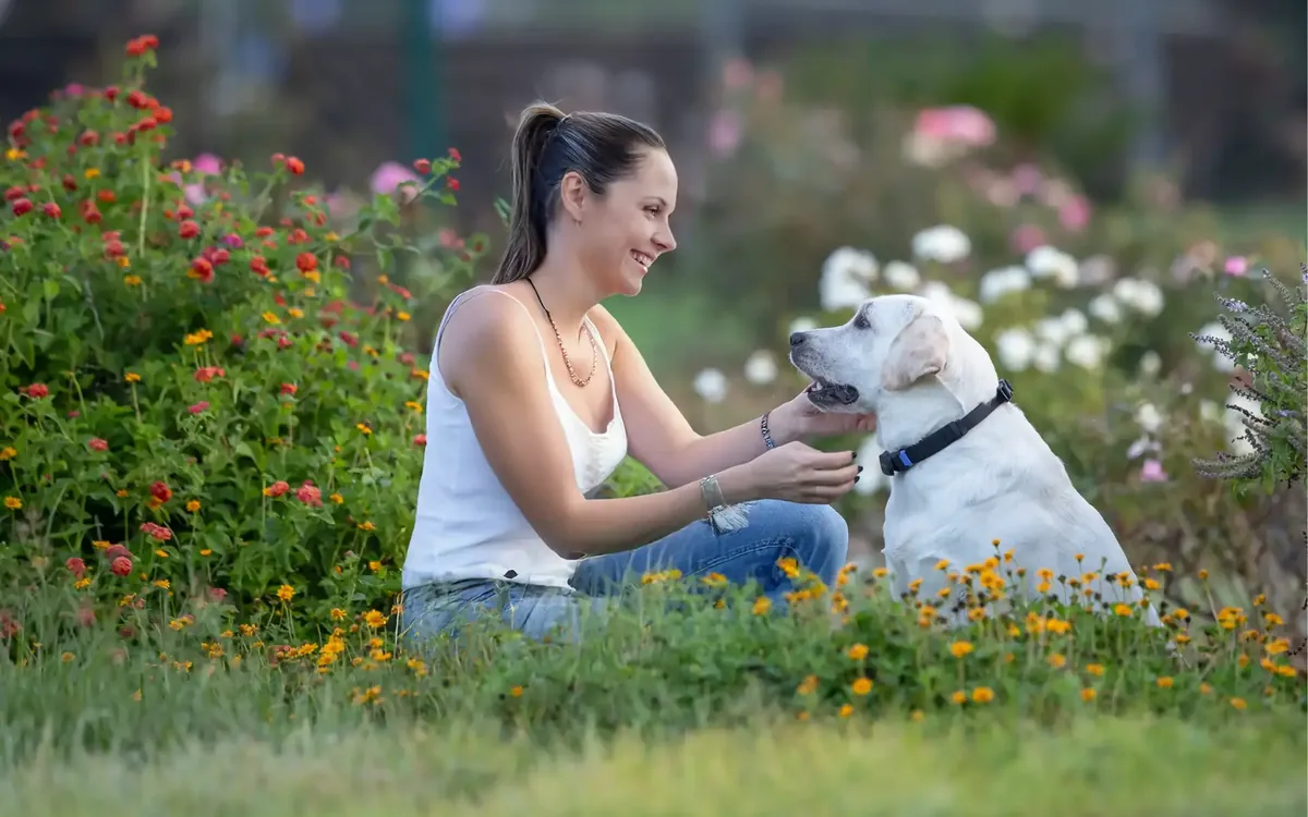 Evidence Review: Pet DNA, Wearables and Telehealth