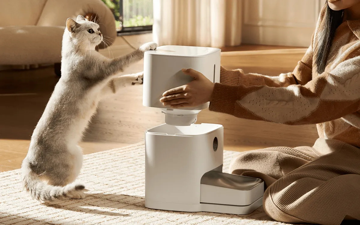 A feeder's essentials are local schedules, backup power and a cleanable food path, not a remote button