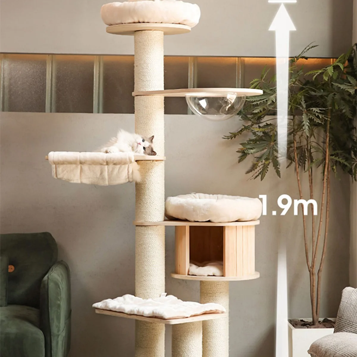 Vetreska fruit cat sofa scratcher